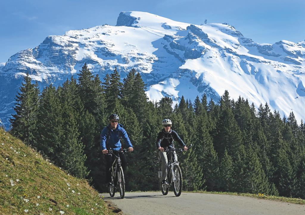 Hotel Engelberg "Mein Trail Hotel" Eksteriør billede
